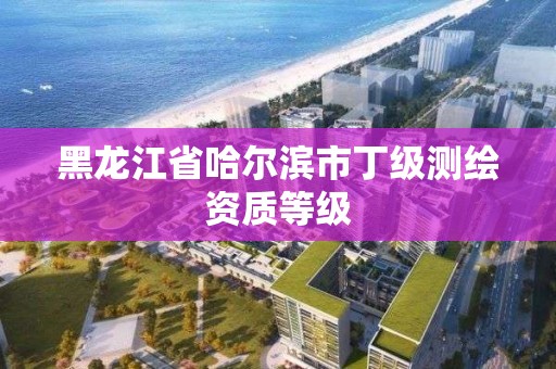 黑龙江省哈尔滨市丁级测绘资质等级