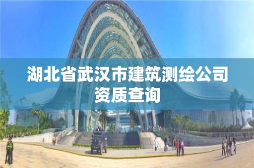 湖北省武汉市建筑测绘公司资质查询