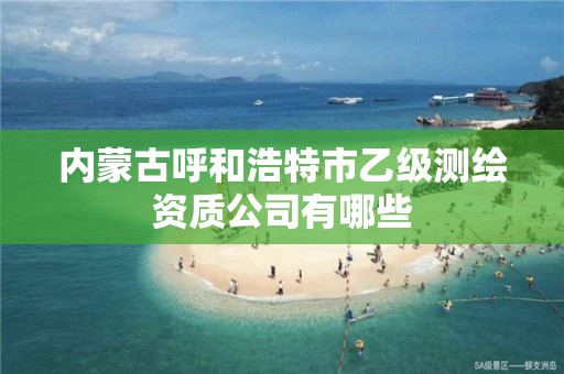 内蒙古呼和浩特市乙级测绘资质公司有哪些