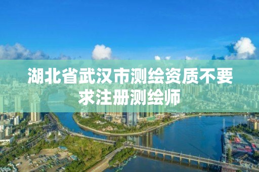 湖北省武汉市测绘资质不要求注册测绘师