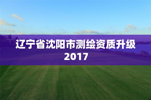 辽宁省沈阳市测绘资质升级2017