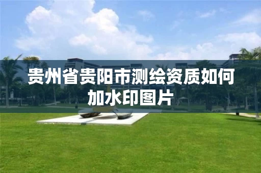 贵州省贵阳市测绘资质如何加水印图片 贵州省贵阳市测绘资质如何加水印图片