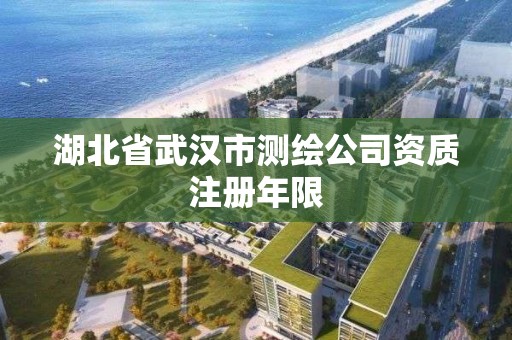 湖北省武汉市测绘公司资质注册年限