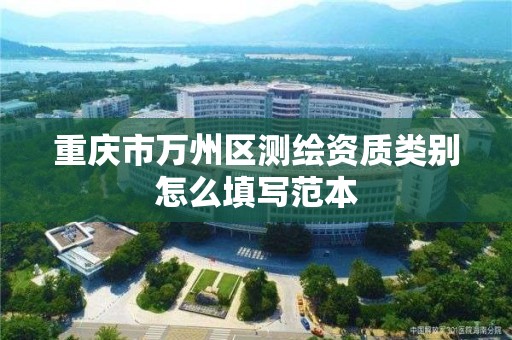 重庆市万州区测绘资质类别怎么填写范本