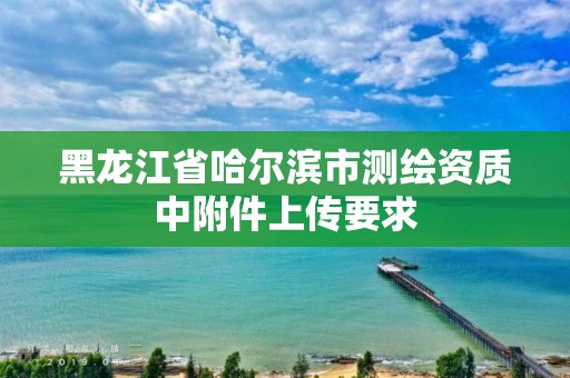 黑龙江省哈尔滨市测绘资质中附件上传要求