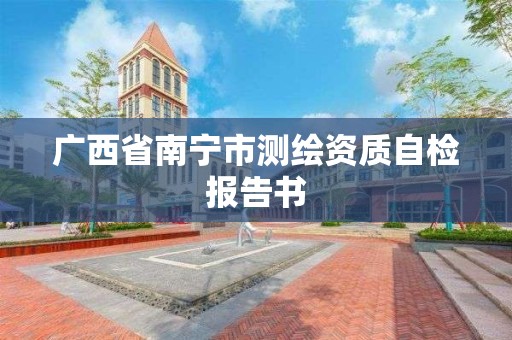 广西省南宁市测绘资质自检报告书