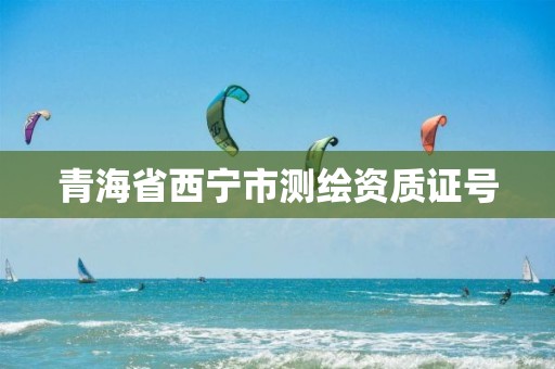 青海省西宁市测绘资质证号