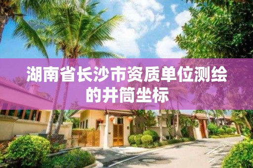 湖南省长沙市资质单位测绘的井筒坐标