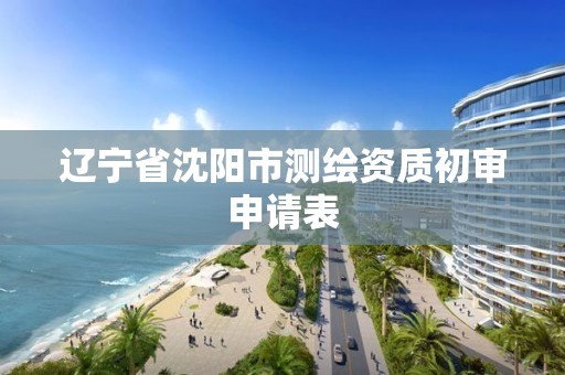 辽宁省沈阳市测绘资质初审申请表