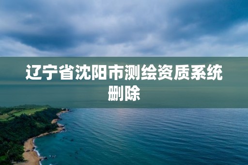 辽宁省沈阳市测绘资质系统删除