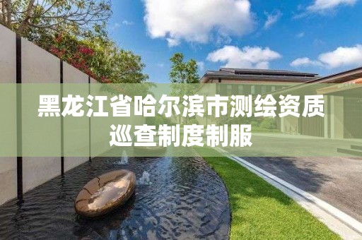 黑龙江省哈尔滨市测绘资质巡查制度制服