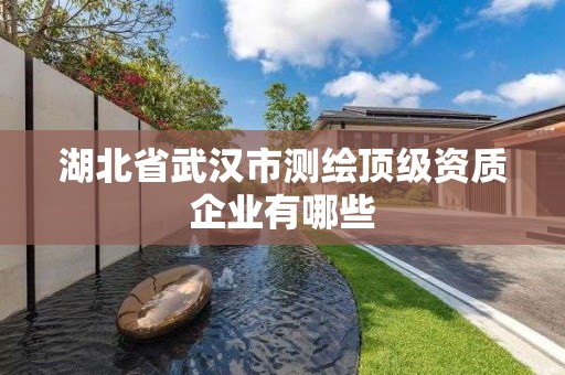 湖北省武汉市测绘顶级资质企业有哪些