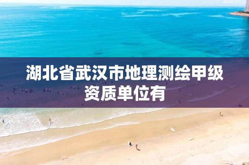 湖北省武汉市地理测绘甲级资质单位有