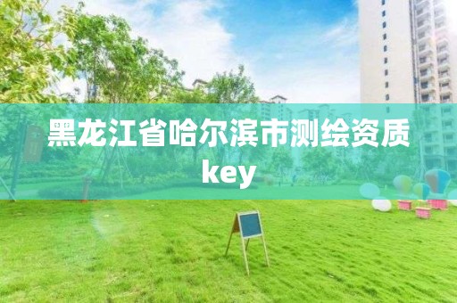 黑龙江省哈尔滨市测绘资质key