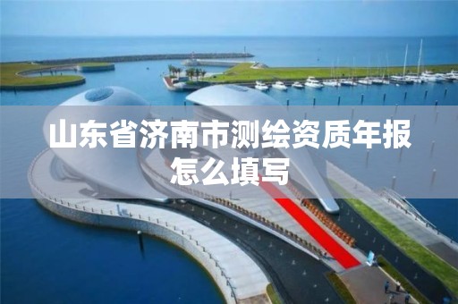 山东省济南市测绘资质年报怎么填写