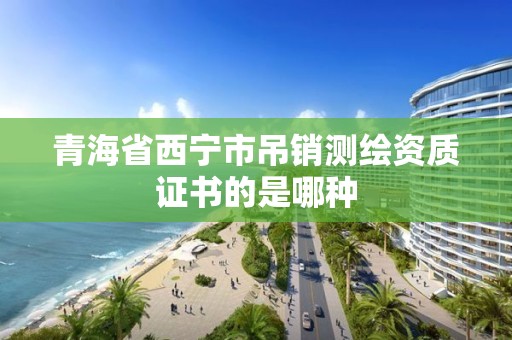 青海省西宁市吊销测绘资质证书的是哪种