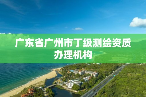 广东省广州市丁级测绘资质办理机构