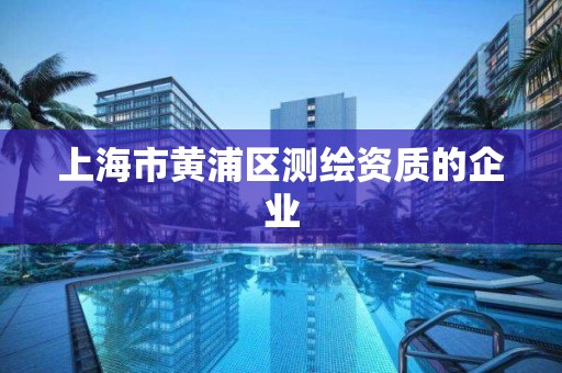 上海市黄浦区测绘资质的企业