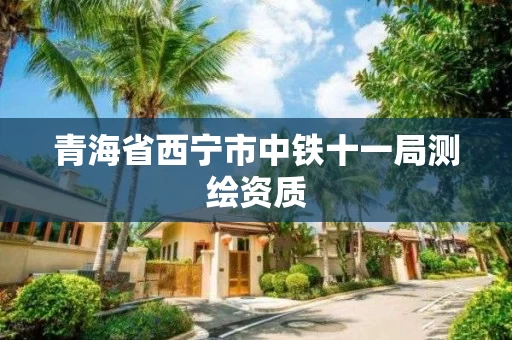 青海省西宁市中铁十一局测绘资质 青海省西宁市中铁十一局测绘资质