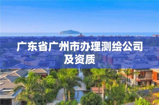 广东省广州市办理测绘公司及资质