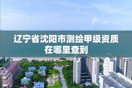 辽宁省沈阳市测绘甲级资质在哪里查到