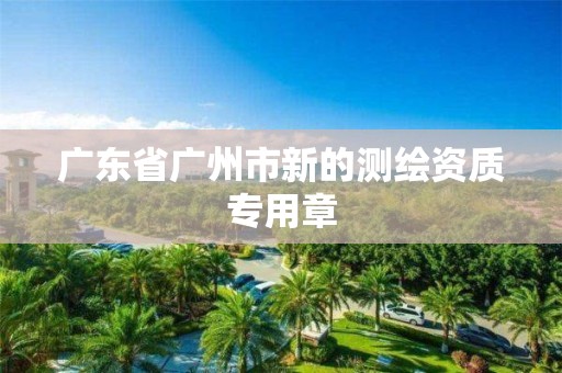 广东省广州市新的测绘资质专用章