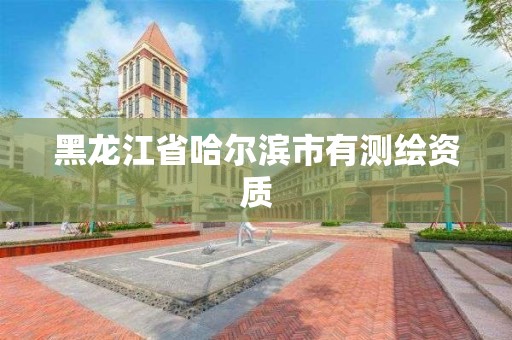 黑龙江省哈尔滨市有测绘资质