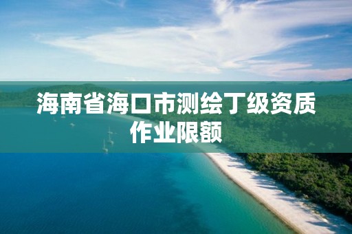 海南省海口市测绘丁级资质作业限额