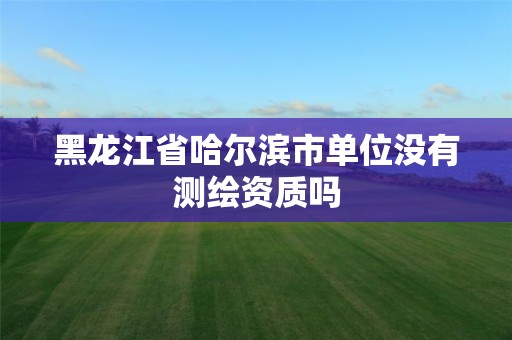 黑龙江省哈尔滨市单位没有测绘资质吗