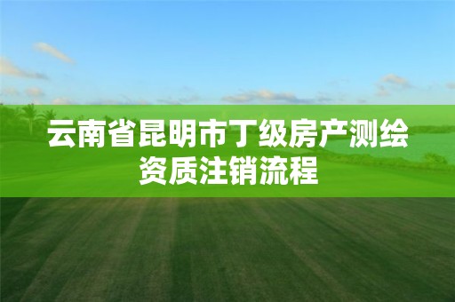 云南省昆明市丁级房产测绘资质注销流程