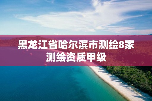 黑龙江省哈尔滨市测绘8家测绘资质甲级