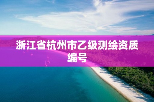 浙江省杭州市乙级测绘资质编号