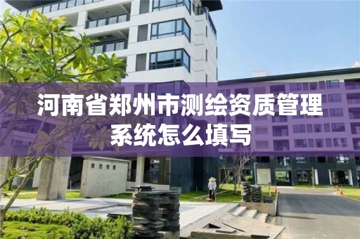 河南省郑州市测绘资质管理系统怎么填写