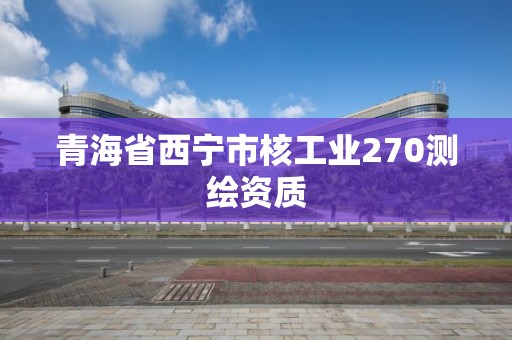 青海省西宁市核工业270测绘资质