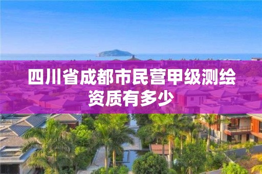 四川省成都市民营甲级测绘资质有多少