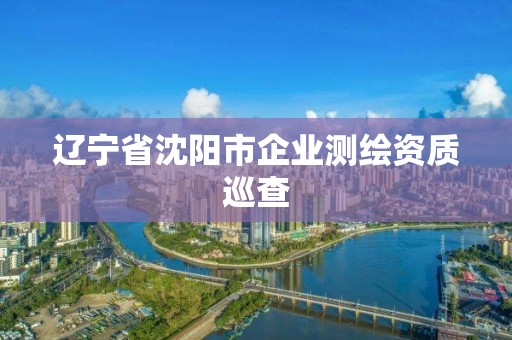 辽宁省沈阳市企业测绘资质巡查