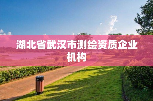 湖北省武汉市测绘资质企业机构