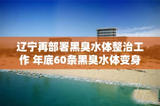 辽宁再部署黑臭水体整治工作 年底60条黑臭水体变身“清水河” 辽宁再部署黑臭水体整治工作 年底60条黑臭水体变身“清水河”