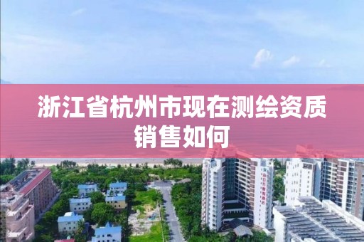 浙江省杭州市现在测绘资质销售如何