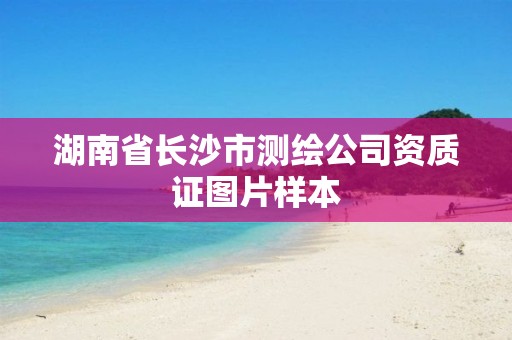 湖南省长沙市测绘公司资质证图片样本