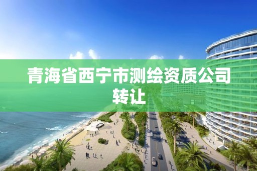 青海省西宁市测绘资质公司转让