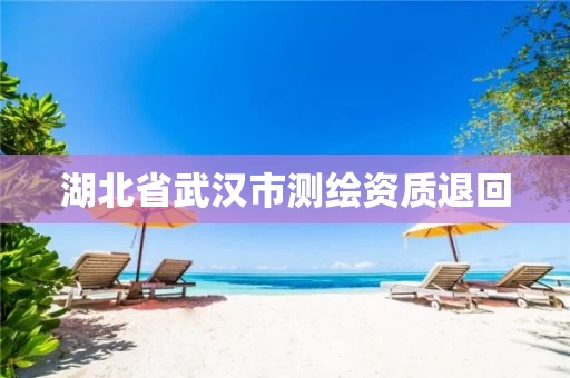 湖北省武汉市测绘资质退回 湖北省武汉市测绘资质退回