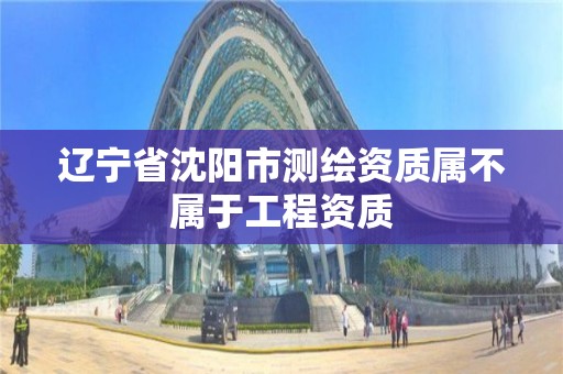 辽宁省沈阳市测绘资质属不属于工程资质