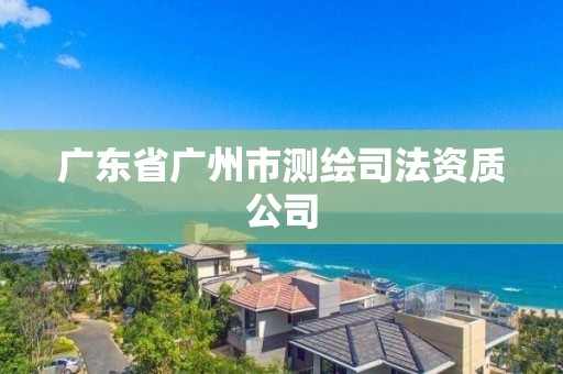 广东省广州市测绘司法资质公司