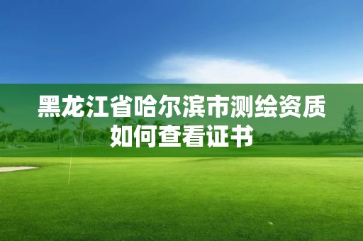 黑龙江省哈尔滨市测绘资质如何查看证书