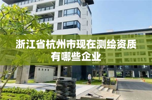 浙江省杭州市现在测绘资质有哪些企业