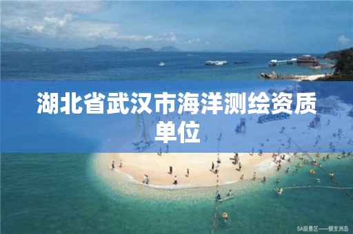 湖北省武汉市海洋测绘资质单位