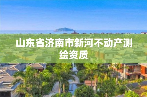 山东省济南市新河不动产测绘资质