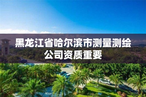 黑龙江省哈尔滨市测量测绘公司资质重要