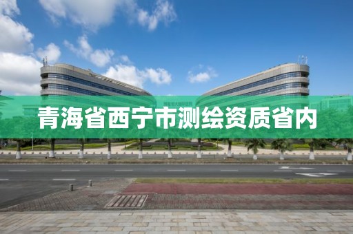 青海省西宁市测绘资质省内